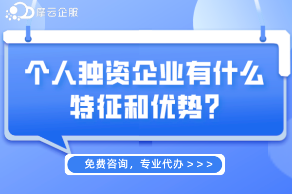 个人独资企业有什么特征和优势?