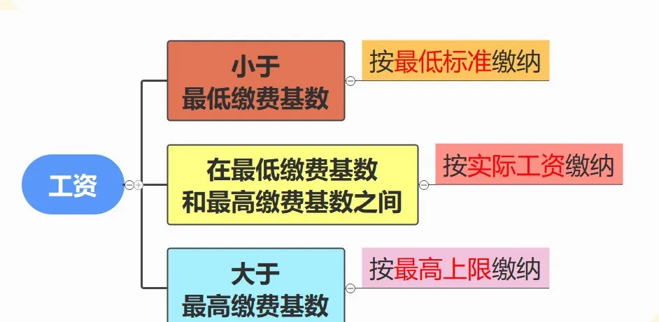 社保全面入税，已有企业被警告！山东申报流程大改啦！